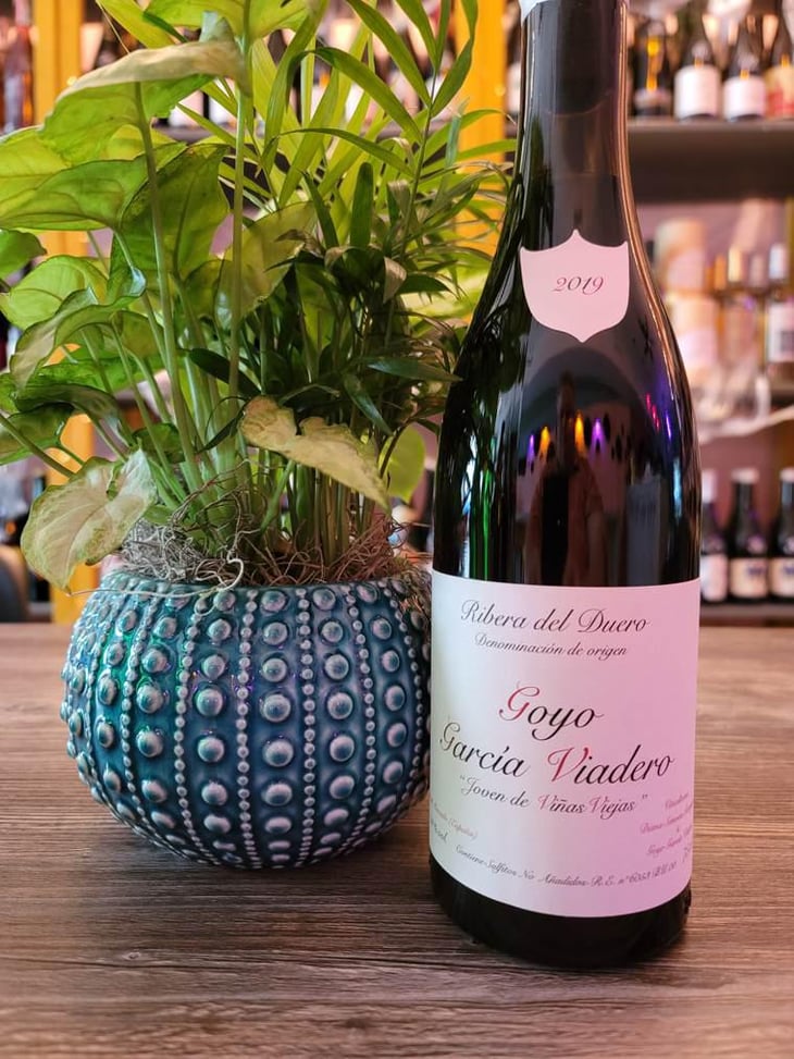 Goyo Garcia Viadero Joven de Viñas Viejas - Goyo Garcia Viadero - goyo-garcia-viadero -2019