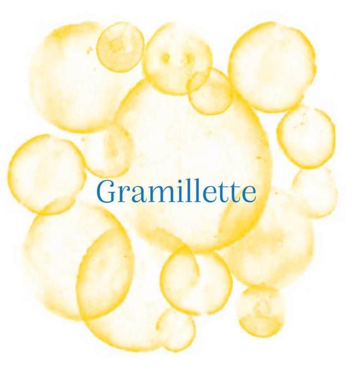Gramillette 2021 - Domaine Gramiller - frederic-julien 