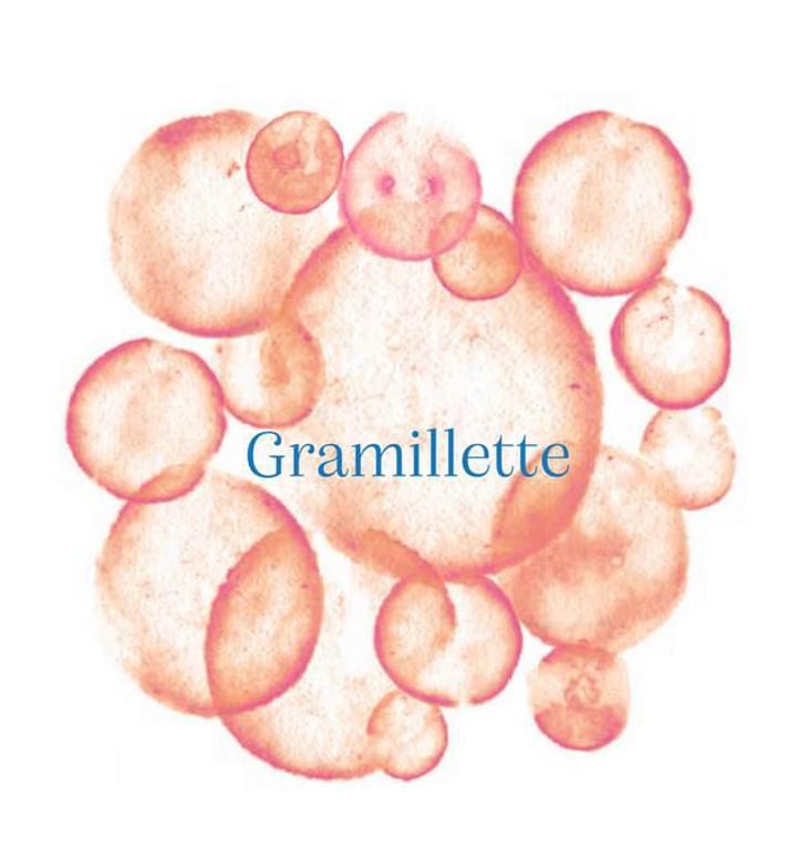 Gramillette Rosé 2022 - Domaine Gramiller - frederic-julien 