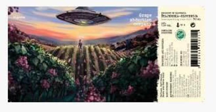 Grape Abduction Company Piquette Rosé - Gönc Winery / Grape Adbuction - peter-gonc 