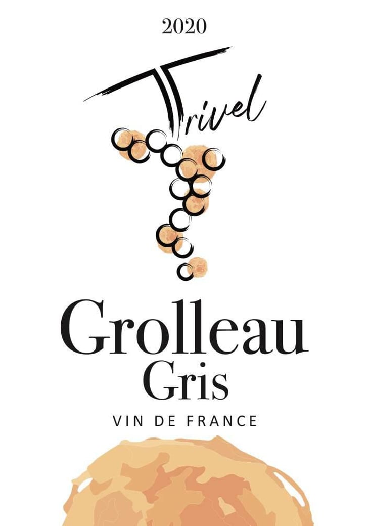 Grolleau Gris - Domaine de Trivel - sidonie-joggerst-thomas-guillon -2020