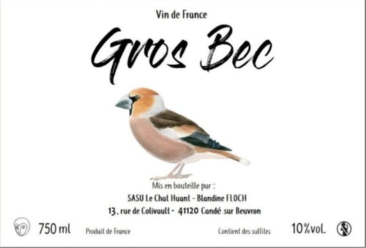 Gros Bec - Le Chat Huant - blandine-floch 