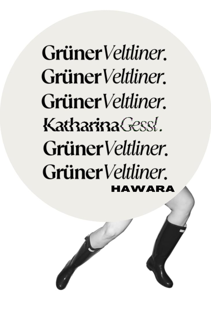 Grüner Veltliner Hawara - Katharina Gessl - katharina-gessl -2022