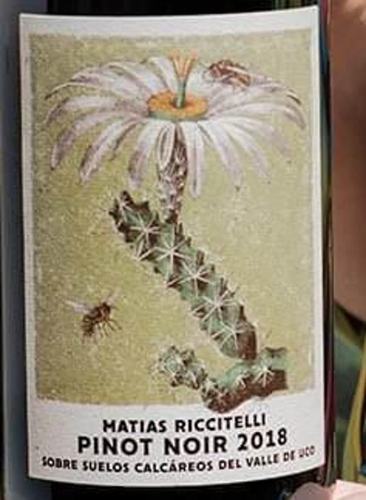 Gualtallary - Pinot Noir - Riccitelli Wines - matias-riccitelli 