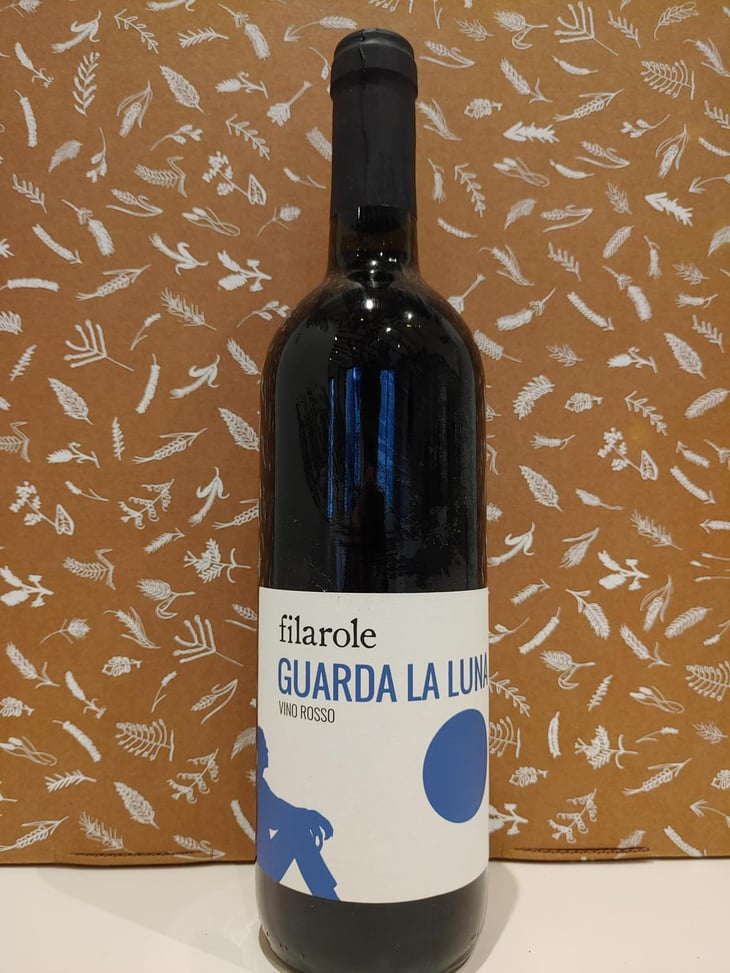 Guarda la Luna - Filarole - barbara-pulliero-paolo-rusconi -2021