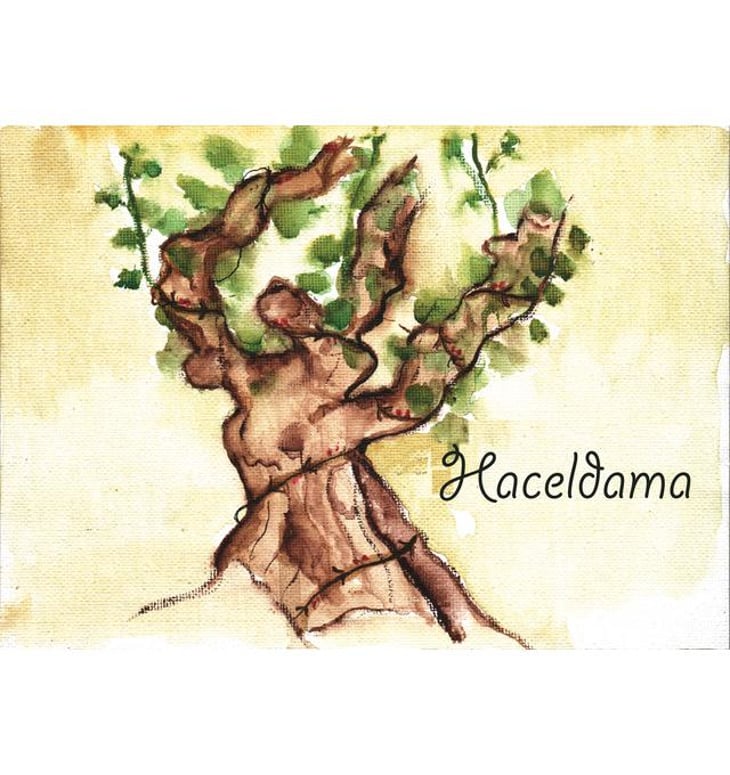 Haceldama - Simon Bousquet - simon-bousquet 