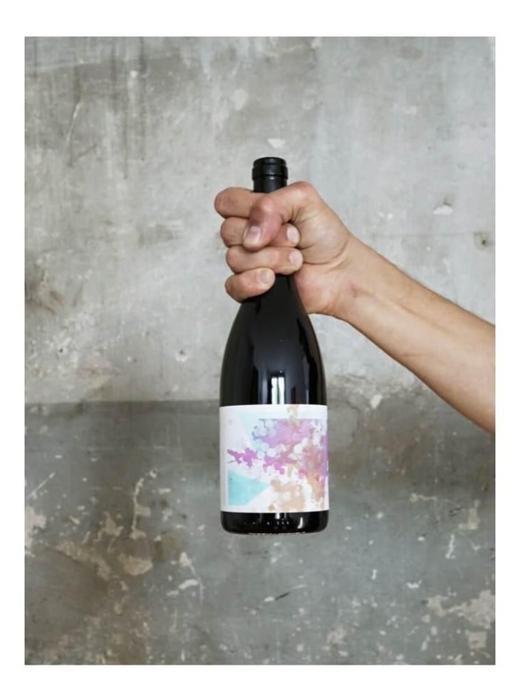 Hahnberg Pinot Noir - Weinbau Grob Chlapf - philipp-grob 