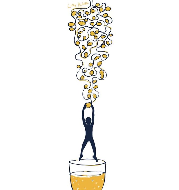 Hang On - Soma Vines - daisy-merrick-antoine-lucchesi 