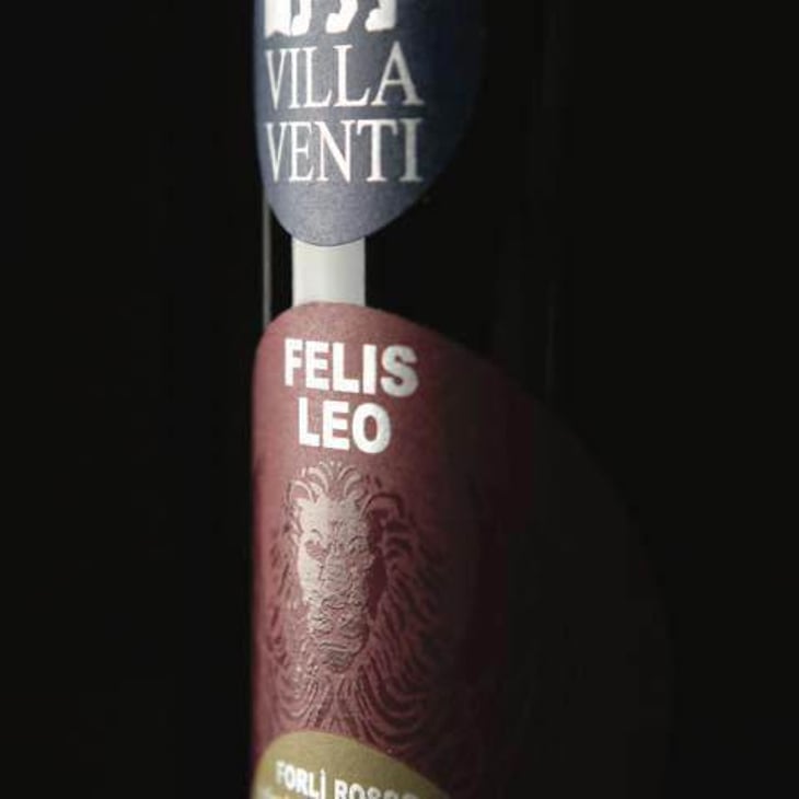 Felis Leo - Villa Venti - mauro-giardini 