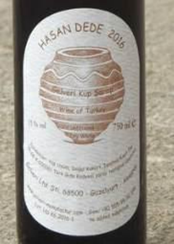 Hasan Dede - Gelveri LTD - udo-hirsch 