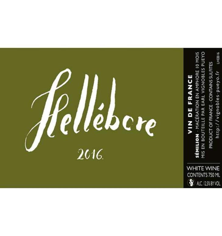 Hellébore - Vignobles Pueyo - christophe-pueyo 
