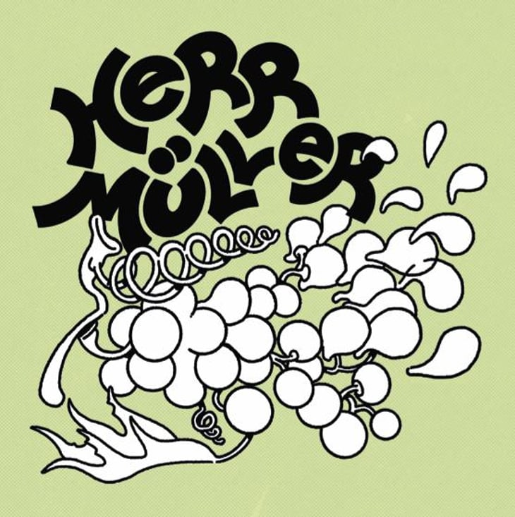 Herr Müller - Les Volatiles - Chai Uva - mathilde-bayle-pablo-siranossian 