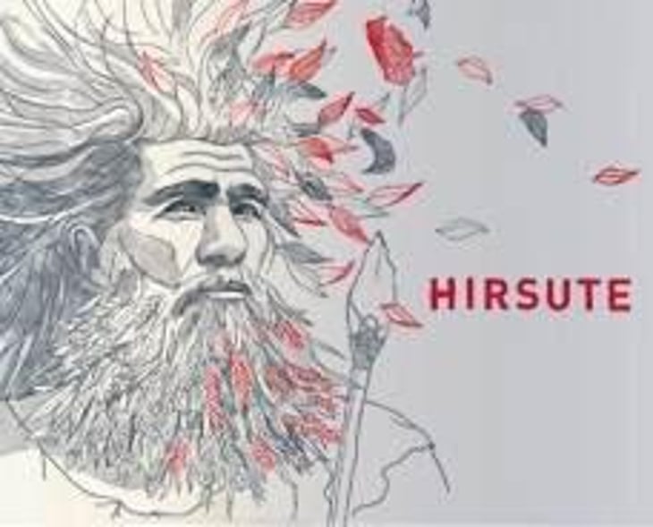 Hirsute (Rouge) - Les Équilibristes - francois-de-monval-florent-girou 