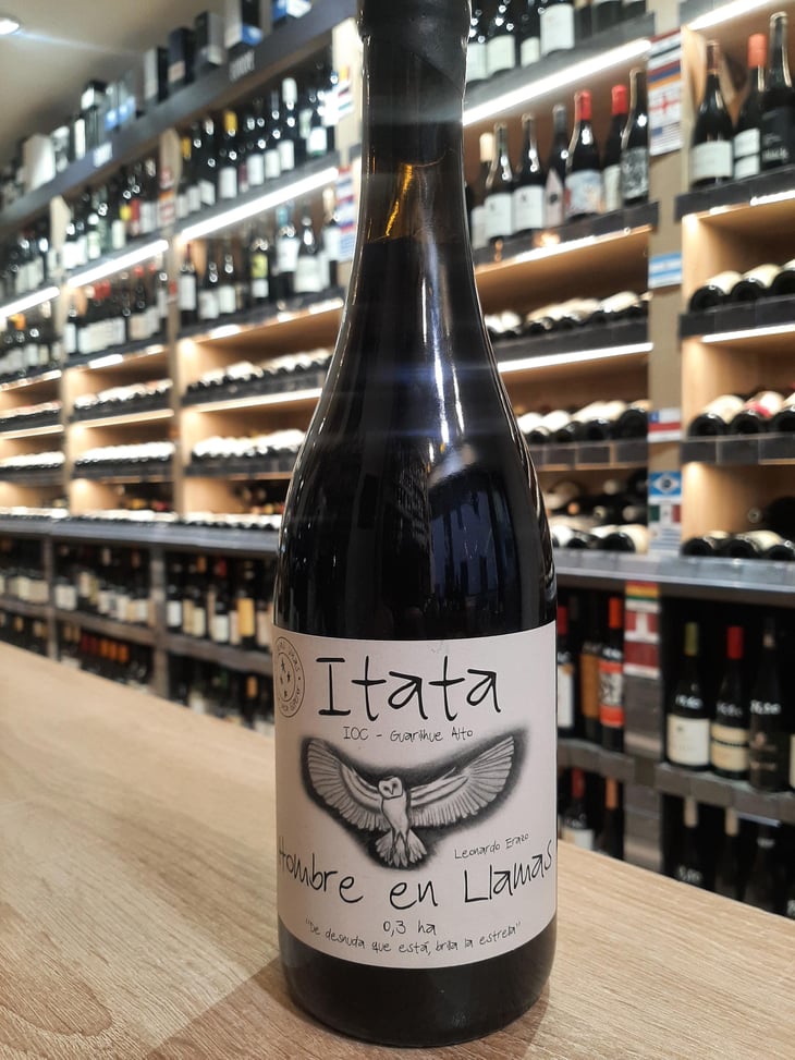 HOMBRE EN LLAMAS - A Los Viñateros Bravos / Onda Brava - leonardo-erazo 