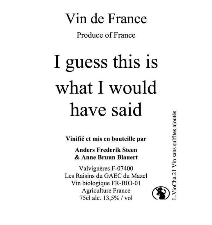 I Guess This Is What I Would Have Said - Anders Frederik Steen & Anne Bruun Blauert - anders-frederik-steen-anne-bruun-blauert 