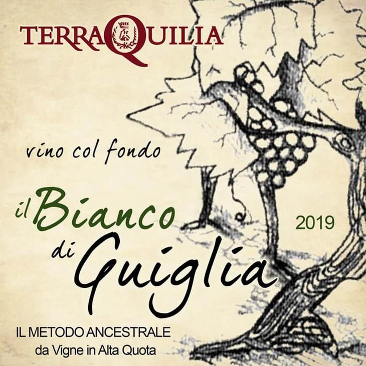 il Bianco di Guiglia - TerraQuilia Società Agricola S.S. - romano-giorgia-mattioli 