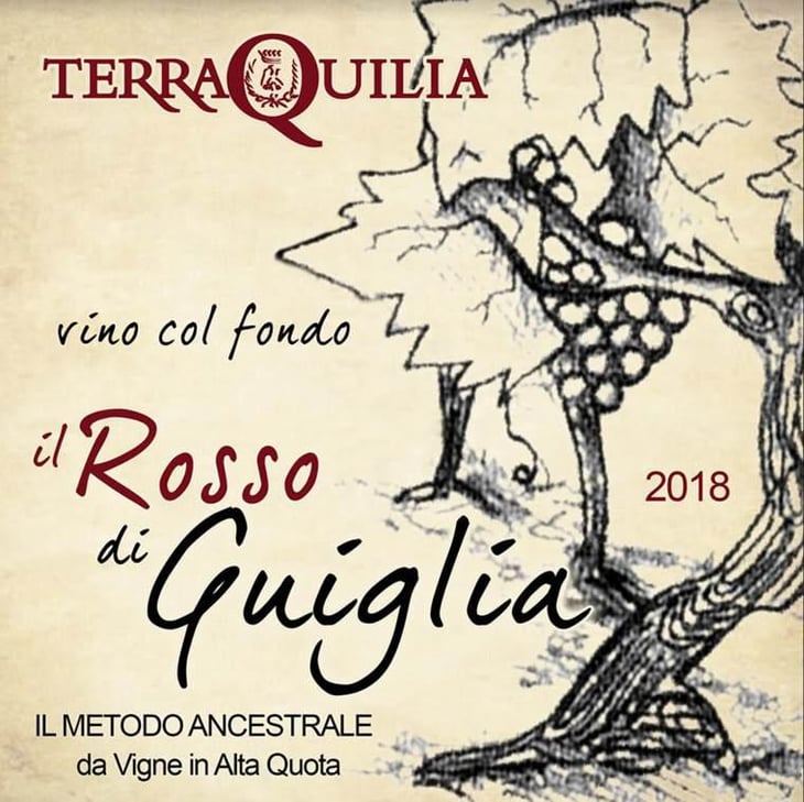 Il Rosso Di Guiglia - TerraQuilia Società Agricola S.S. - romano-giorgia-mattioli 