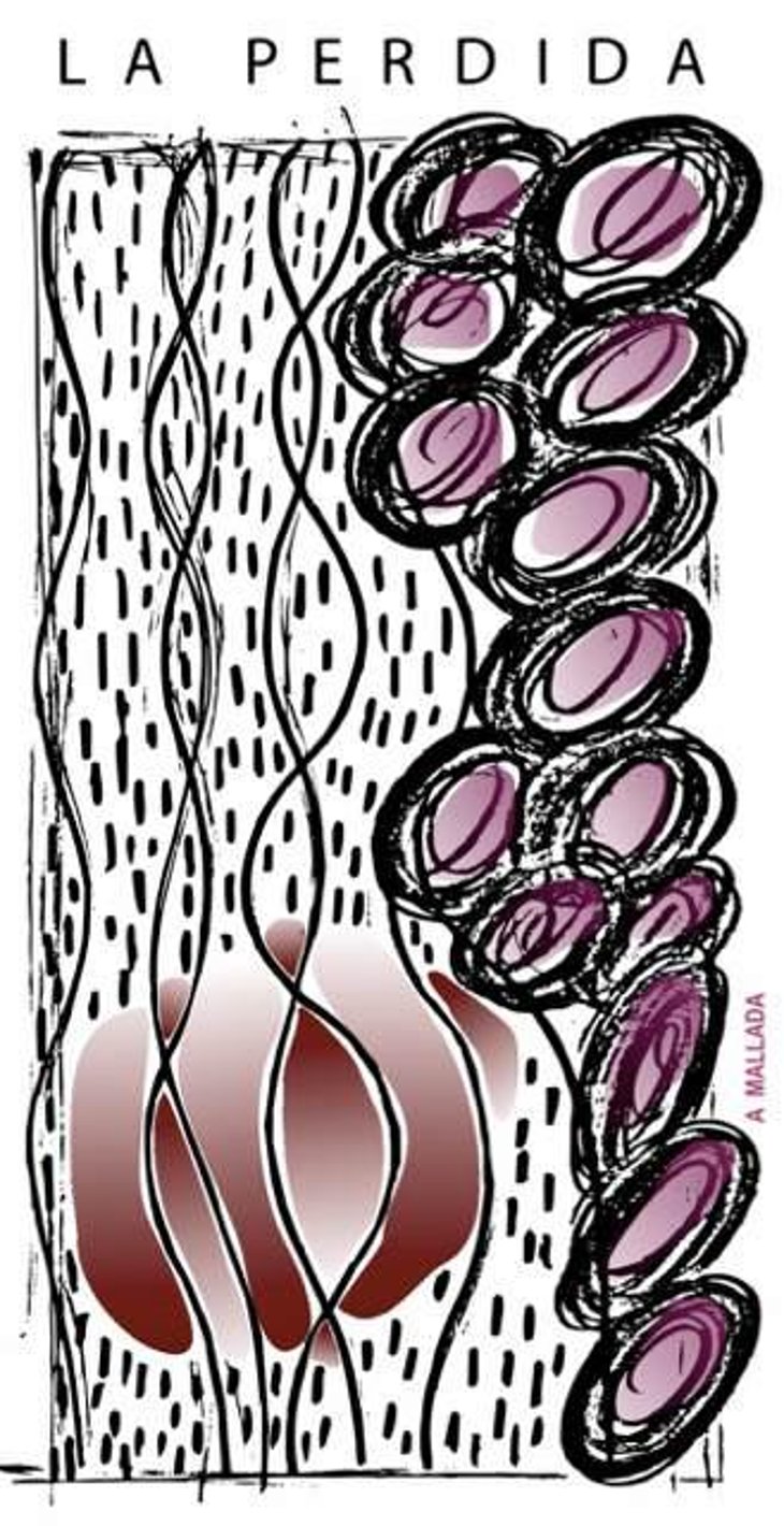 A Mallada - Spain - nacho-gonzalez 