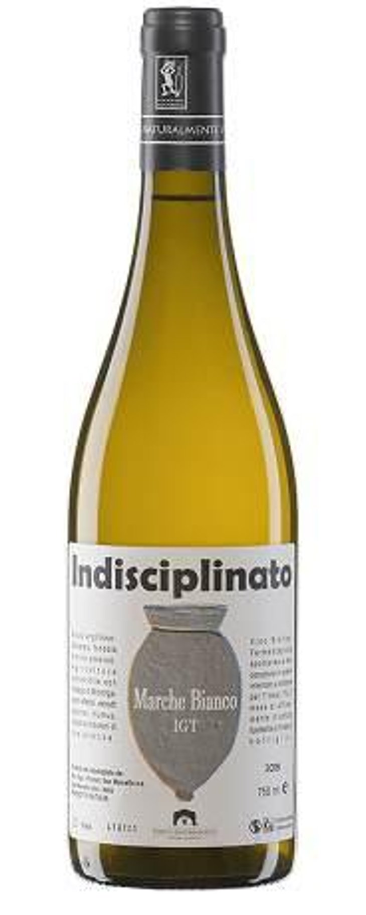 Indisciplinato - Tenuta San Marcello - massimo-palmieri-pascale-marquet 