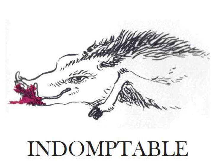 Indomptable - Domaine des 2 Fauves - laura-soldan-charles-henri-quantin 