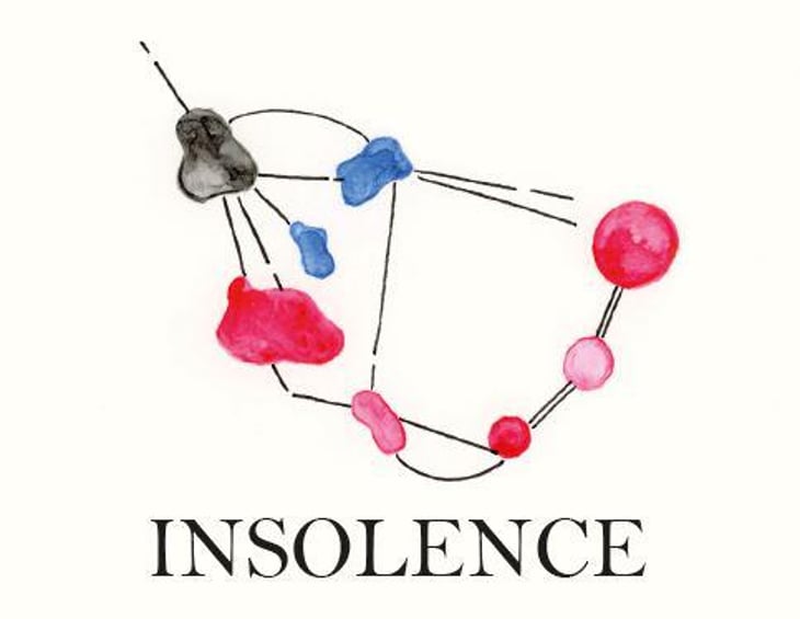 Insolence - Domaine des 2 Fauves - laura-soldan-charles-henri-quantin 