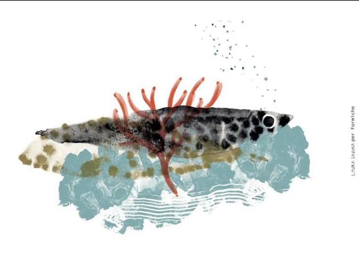 Integrale - Formiche - simone-gigi-dylan-simone -2020