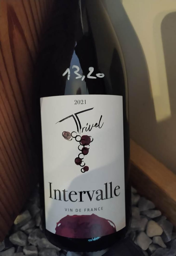 INTERVALLE - Domaine de Trivel - sidonie-joggerst-thomas-guillon -2021