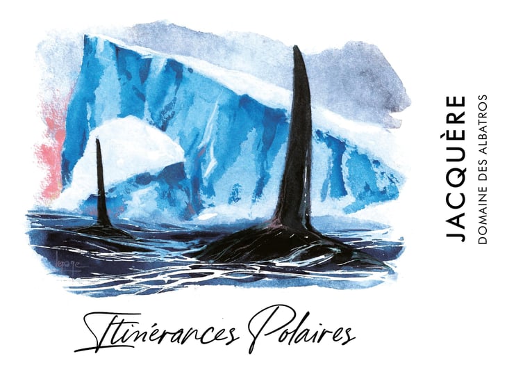 Itinérance Polaires - Domaine des Albatros - julien-cartier 
