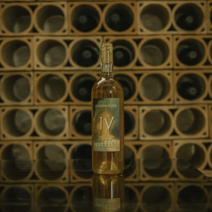 IV Coda di Volpe Bianca - La Cantina di Enza - enza-saldutti -2022