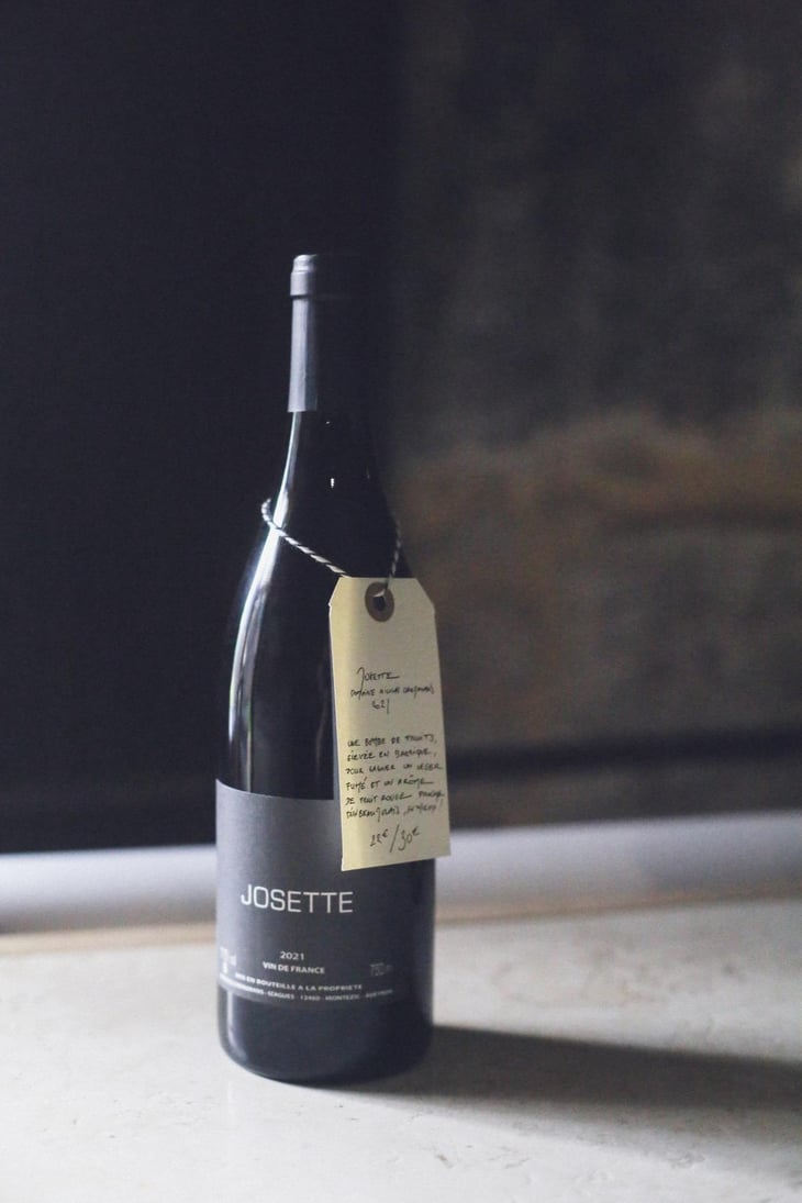 Josette - Nicolas Carmarans - nicolas-carmarans -2021