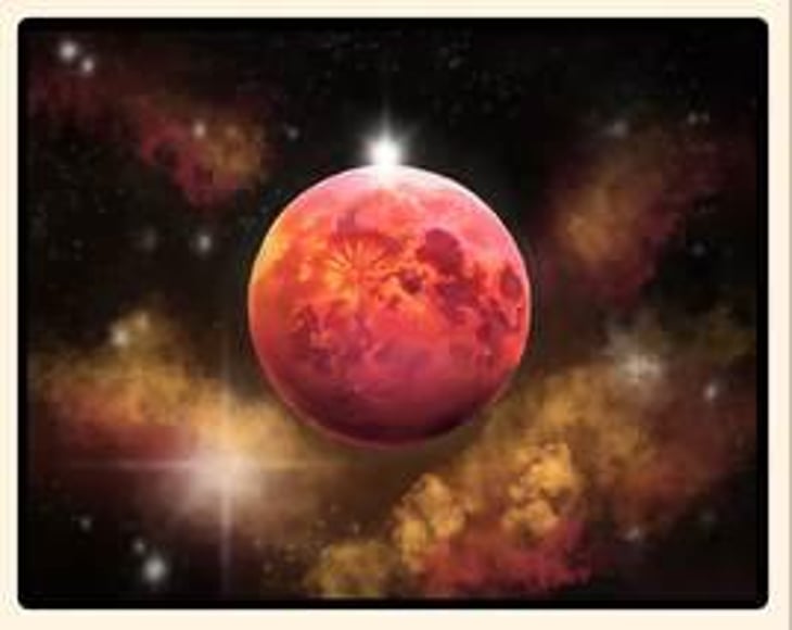 Kind of Orange - Florèz Wines - james-jelks 