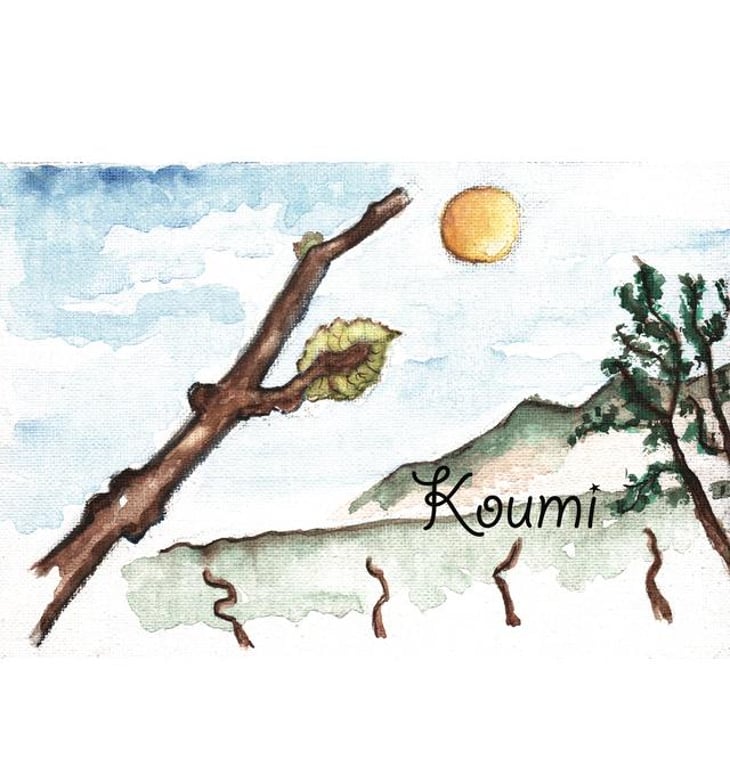 Koumi - Simon Bousquet - simon-bousquet 