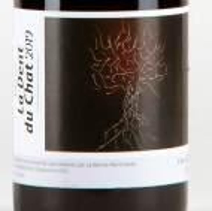 La Dent du Chat - Le Nez de Goth - olivier-boulin 