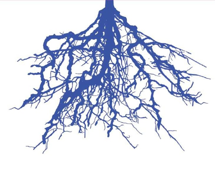 La Fame - Marinferno - gianmaria-sforza-fogliani 