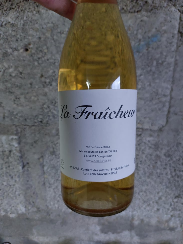La Fraicheur 2 - L’Arbre Viké - jan-tailler -2024
