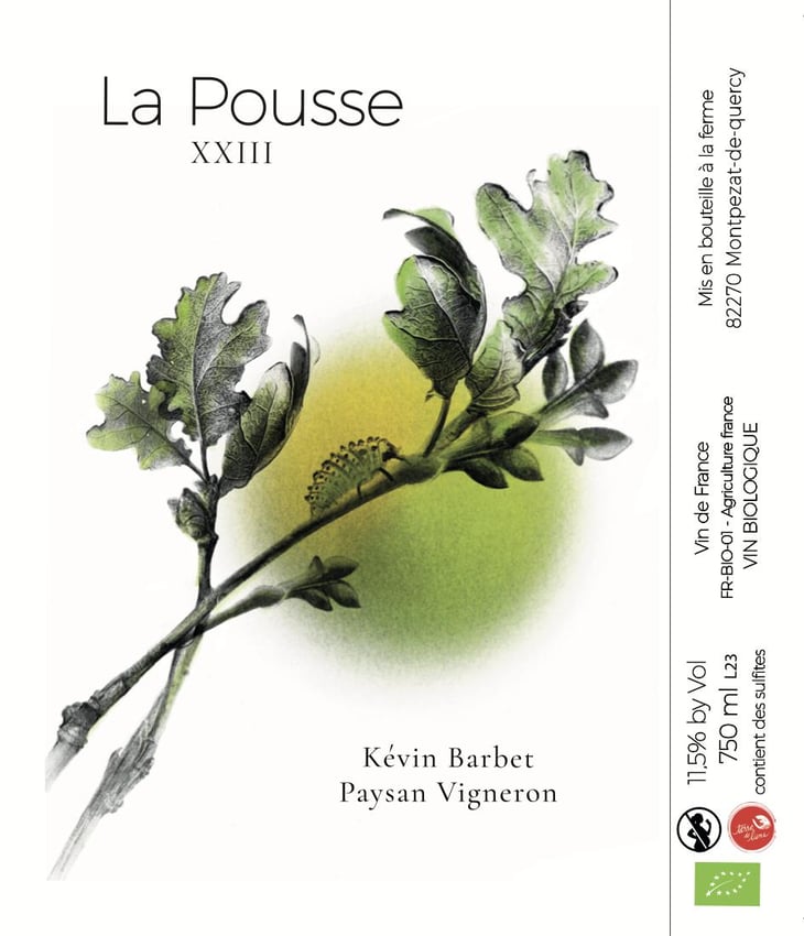 La Pousse - Kévin Barbet paysan vigneron - kevin-barbet 