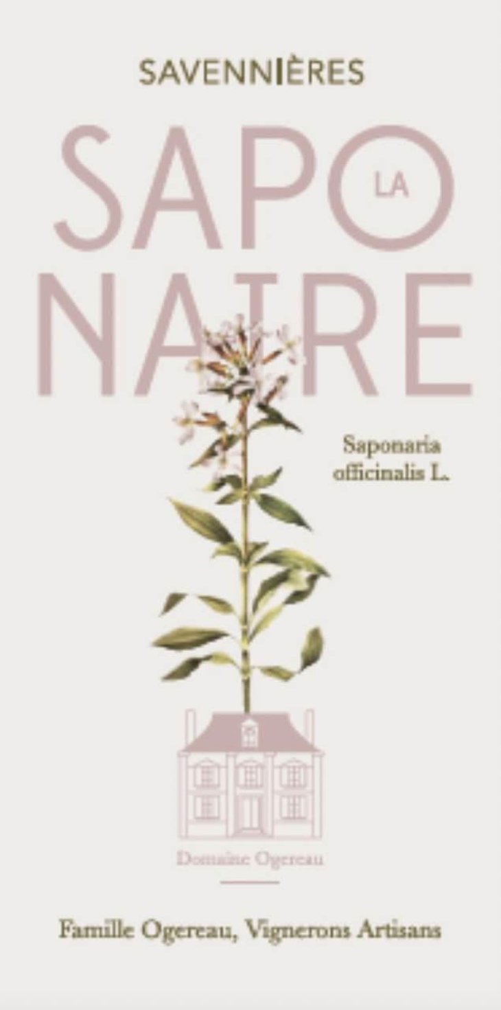 La Saponaire - Domaine Ogereau - vincent-emmanuel-ogereau 