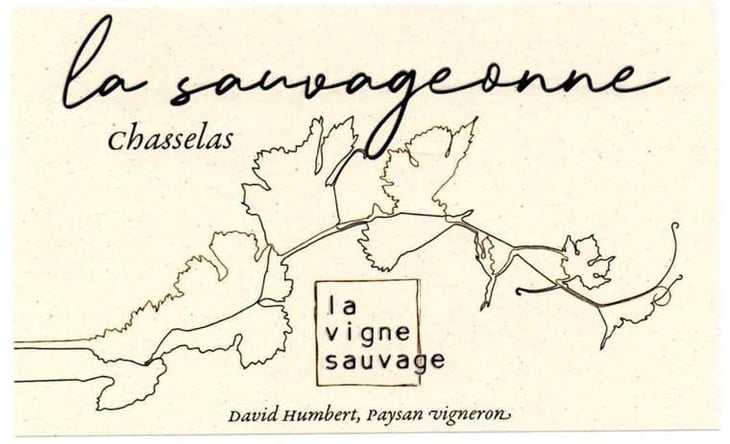 La Sauvageonne - La Vigne Sauvage - david-humbert 