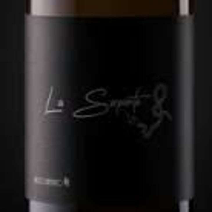 LA SERPIENTE SKIN CONTACTO - Ricco Bambino - jason-alton 