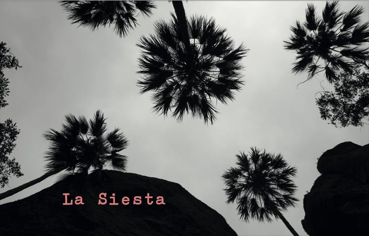 La Siesta - Domaine La Goguette - julien-mary -2023