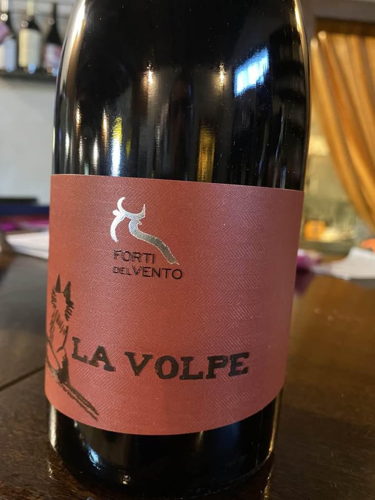 la volpe - Azienda Agricola Forti Del Vento - marco-tacchino-manuela-murchio-tomaso-armento 