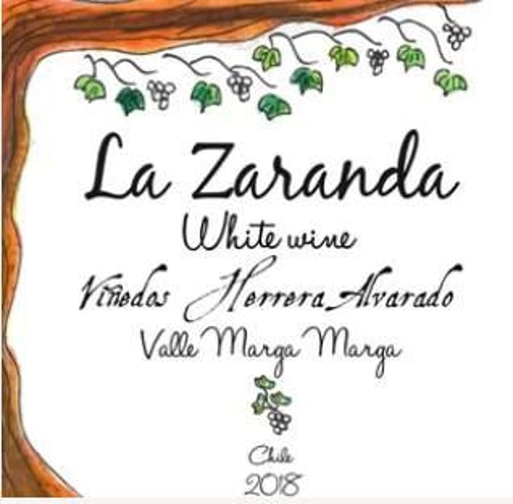 La Zaranda - Viñedos Herrera Alvarado - carolina-alvarado-arturo-herrera 