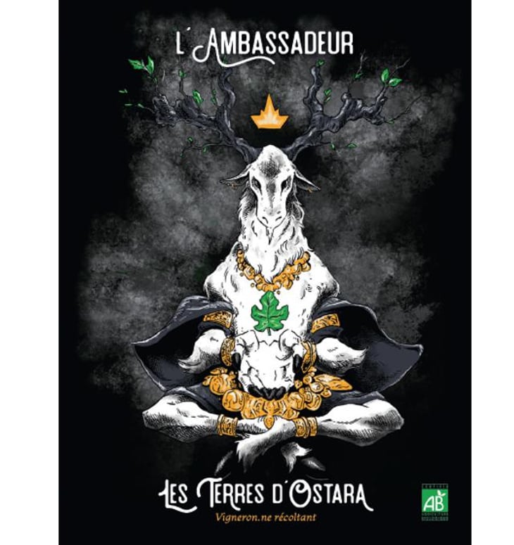 L'Ambassadeur - Les Terres d'Ostara - marine-bonnard-et-axel-harrmann 