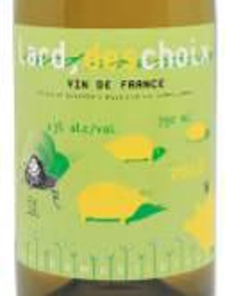 Lard, des choix - Blanc - Les Champs Libres - rene-jean-dard-herve-souhaut 