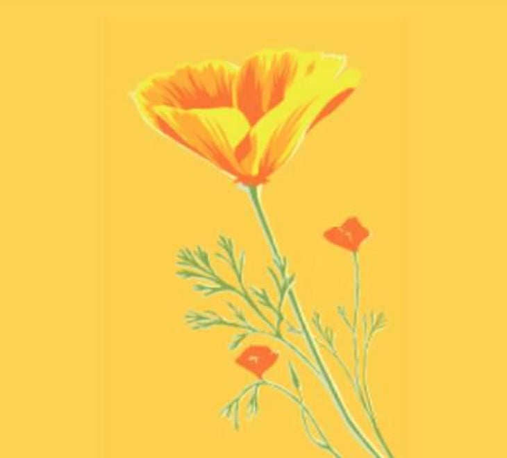 L'Aureate - Old World Winery - darek-trowbridge 