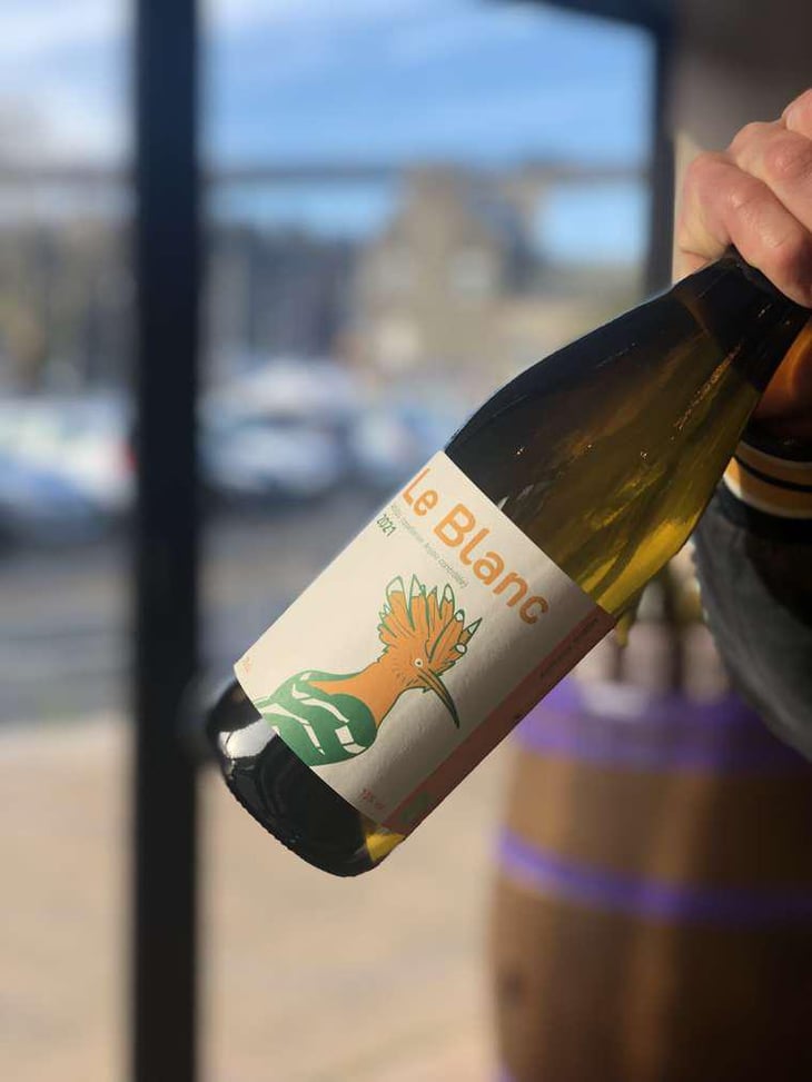 Le blanc - Domaine du Clos Fremur - anthony-robin 