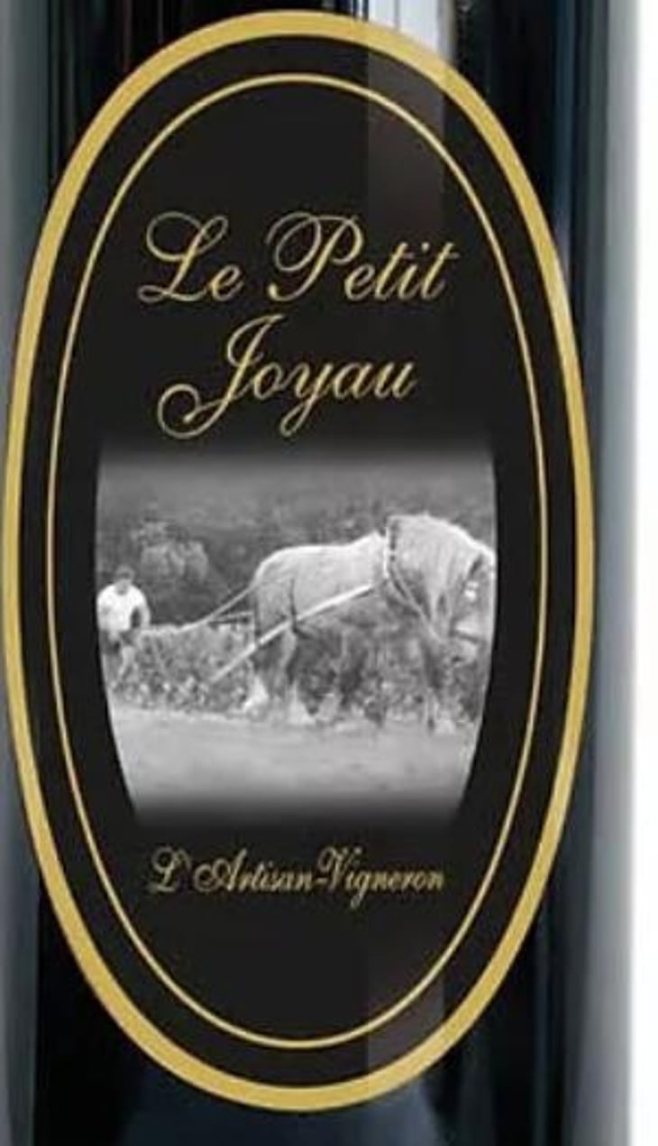 Le Petit Joyau - Domaine Léandre-Chevalier - DLC - L'Homme-Cheval - dominique-leandre-chevalier-reto-erdin 