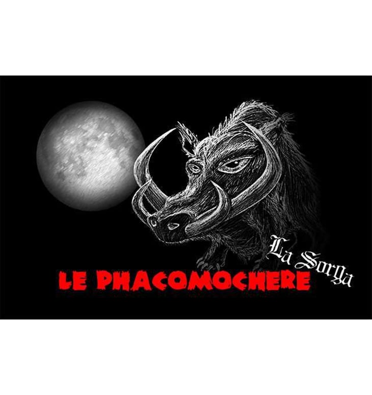 Le Phacomochère - La Sorga - antony-tortul 