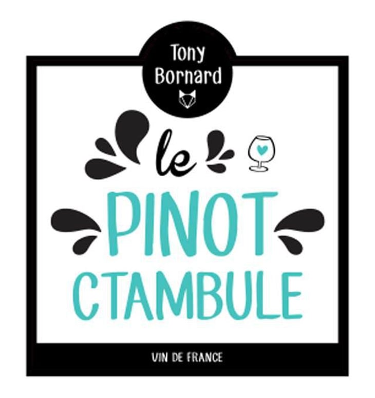 Le Pinotctambule - Domaine Bornard - tony-bornard 
