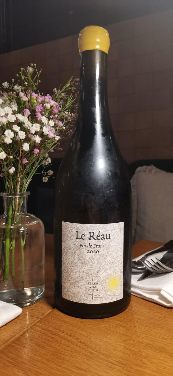 Le Réau - Terra Vita Vinum - benedicte-luc-briand -2020